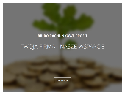 profit.bialystok.pl - Screen
